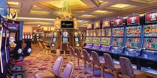 stake apostas